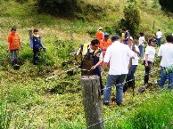 Arborizacion.